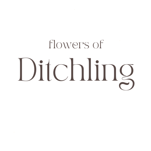 Flowers of Ditchling